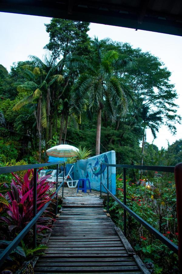 Hostel Plinio Manuel Antonio Exterior photo