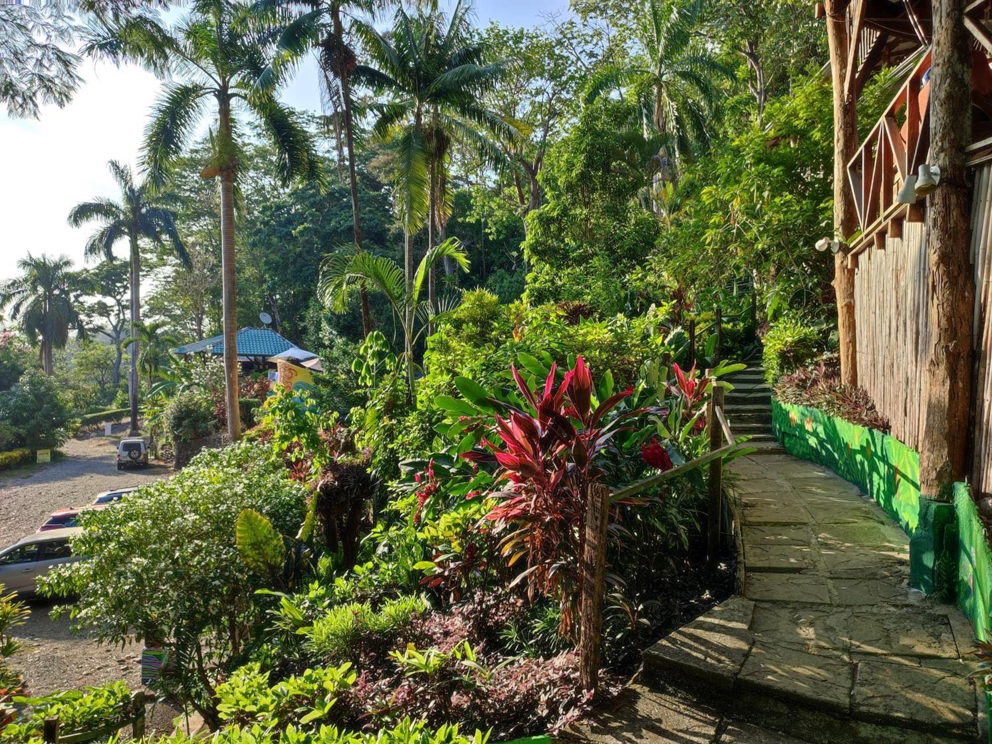 Hostel Plinio Manuel Antonio Exterior photo